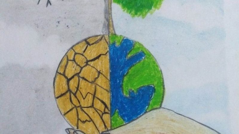 成都全口种植牙骨量不足，如何解决？**